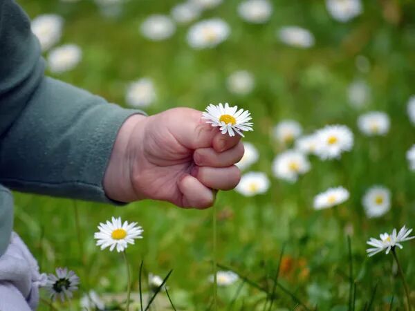 La gratitude : quand "merci" devient une prescription santé